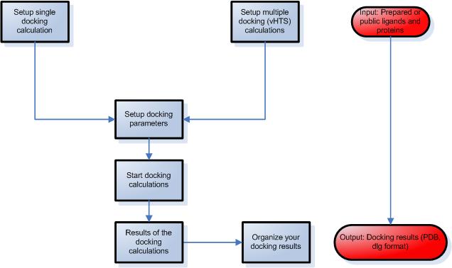 Ligand Docking